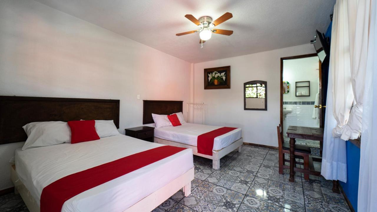 Bugambilias 2* San Luis Potosí