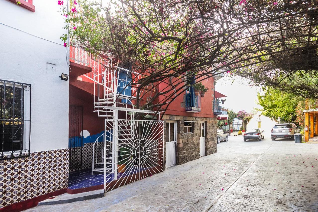 Bugambilias San Luis Potosí